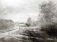 95357 Gezicht op de heide met berken en een fietspad te Soest.